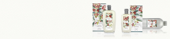 Verveine