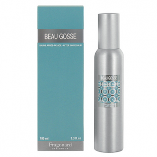 Beau 2025 gosse perfume